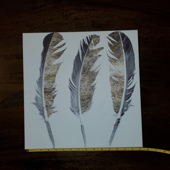 15"x15"x2.5" Canvas Feathers artwork - Picture 2 of 6